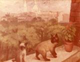 Cats in Front of Sacr-Coeur II