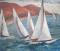 Sailing regatta