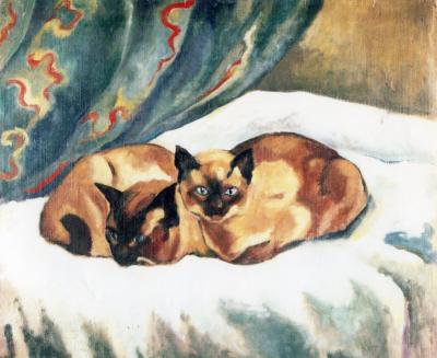 Deux chats siamois