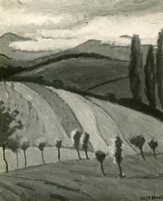 Hilly Landscape