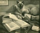 Le chat 