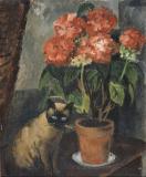 Katze und Blumen